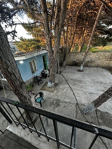 bilecerde evler: Kupça, çıxarışı var Meşə zolağına bitişik, geniş həyəti olan bağ evi — 2