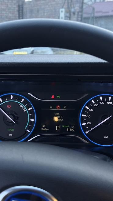 BYD: BYD : 2021 г., Электромобиль, Седан — 7