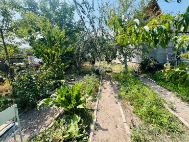 продаю дом село орок: Дача, 20 м², 2 комнаты, Агентство недвижимости