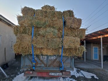 Корма для с/х животных: 1укос беде.сулу.чоп аралаш 115шт доставка бар