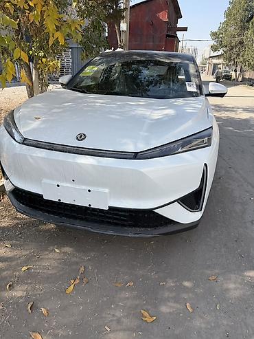 70 200: Dongfeng : 2026 г. — 1