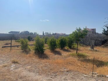 Torpaq sahələrinin satışı: 12 sot, Mülkiyyətçi, Kupça (Çıxarış) — 7