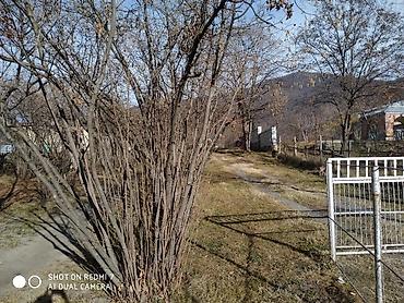 qubada torpaq satilir 2026: 18 sot, Kənd təsərrüfatı, Mülkiyyətçi, Kupça (Çıxarış) — 6