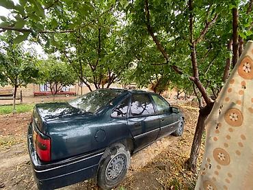 Opel: Opel : 1994 г., 1.8 л, Механика, Бензин, Седан — 5