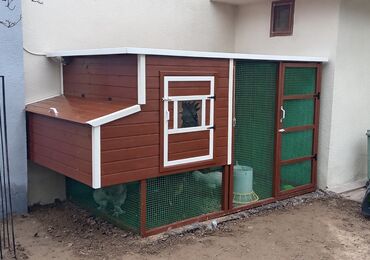 Yuvalar: Tuyuq yuvası Hin sifarişlə hazırlanması istənilən ölçüdə tam — 2