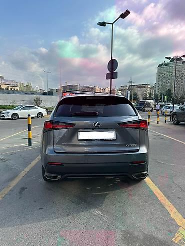 lexus cs: Lexus NX: 2017 г., 2 л, Автомат, Бензин, Кроссовер — 7