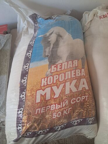 часы настенные цена в бишкеке: БЕЛАЯ КОРОЛЕВА 950 СОМ 
YASHAR 750 СОМ АСТЫНА КИЧИНЕ СУУ ТИЙГЕН
