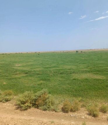 2 otaqlı mənzili 3 otaqlı ilə dəyişirəm: 1000 sot, Kənd təsərrüfatı, Kupça (Çıxarış)
