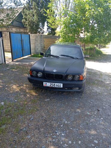 BMW: BMW 5 series: 1994 г., 2 л, Механика, Бензин, Седан