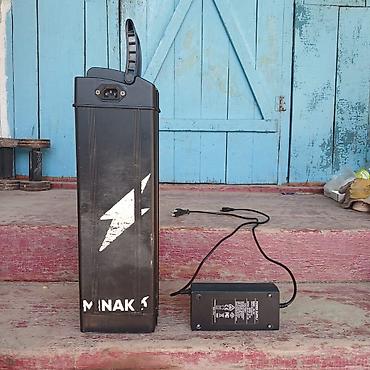 ролики 39: Аккумулятор для электровелосипеда с зарядным устройством — 1