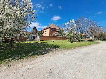 Kupujem kuću: Porodična kuća u Surduku sa uređenim dvorištem - Dvospratna zidana — 10