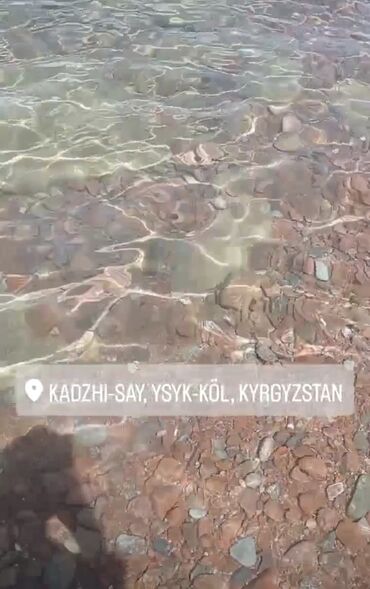 Продажа квартир: 1 комната, 36 м², 106 серия, 1 этаж, Евроремонт — 8