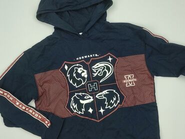 Sweatshirt, Harry Potter, 14 years, 158-164 cm, condition - Perfect
