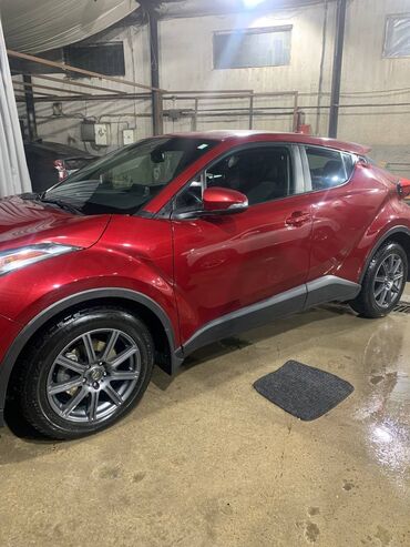 Toyota: Toyota C-HR