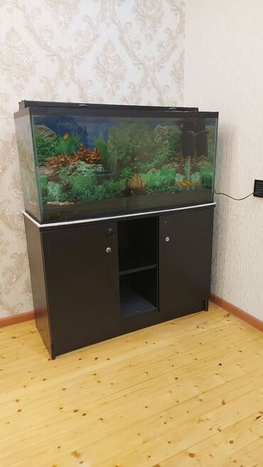Akvariumlar: Dördbucaq akvarium, Boş, 175 l, Ünvandan götürmə — 11