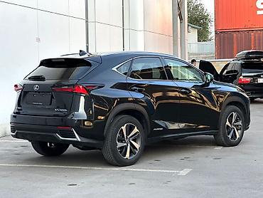 Lexus: Lexus NX: 2020 г., 2.5 л, Автомат, Гибрид, Кроссовер — 7