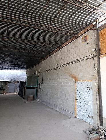 Промышленные холодильники и комплектующие: Промышленная холодильная и морозильная камера с оборудованием и — 13