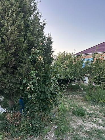 шеки: 4 комнаты, 140 м², Средний ремонт — 2
