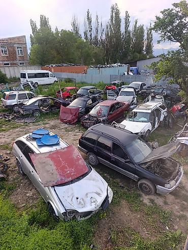 Ремонт ходовой части: Авторазбор «Япошка» — широкий выбор контрактных и б/у запчастей для — 4