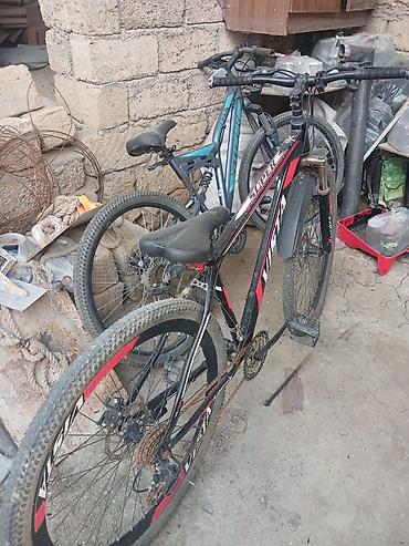 VIVA SUPRA dağ velosipedi - Çərçivə: yüngül lehimli, 29” təkər ölçüsü