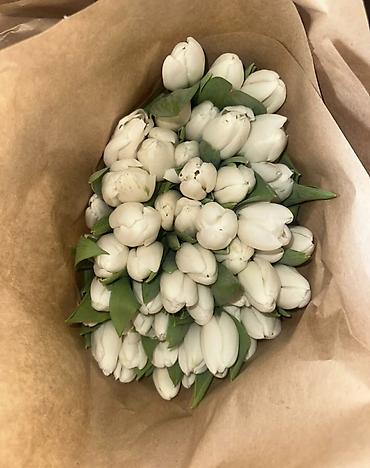 Букеты из живых цветов: Тюльпаны Оптом и в розницу - Разнообразие оттенков: жёлтые, розовые — 13