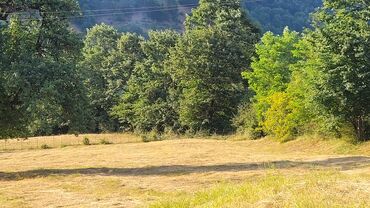 Torpaq sahələrinin satışı: Lerik rayonu Vizəzəmin kəndi ərazisində yerləşən ərazini tədqim — 4