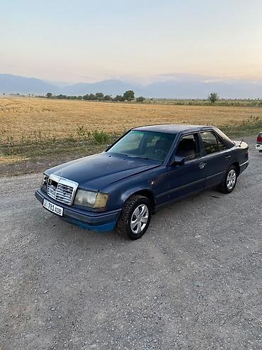химия на авто: Mercedes-Benz W124: 1989 г., 2.3 л, Механика, Бензин, Седан — 2