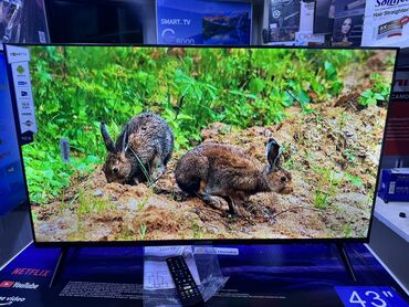 Телевизоры: Телик Телевизоры Samsung Android 13 с голосовым управлением, 43 — 27
