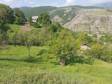 Torpaq sahələrinin satışı: 60 sot, Tikinti, Barter mümkündür, Kupça (Çıxarış)