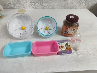 седло для лошади цена: Продаю набор для хомяка В комплект входит всё необходимое: 2 колеса
