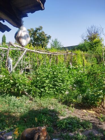 Продажа домов: Дом, 1200 м², 4 комнаты, Собственник, Косметический ремонт — 9