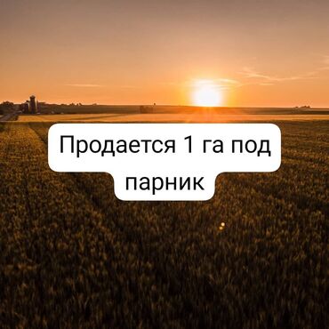 Продажа участков: 5000 соток, Для бизнеса, Договор купли-продажи, Договор долевого участия