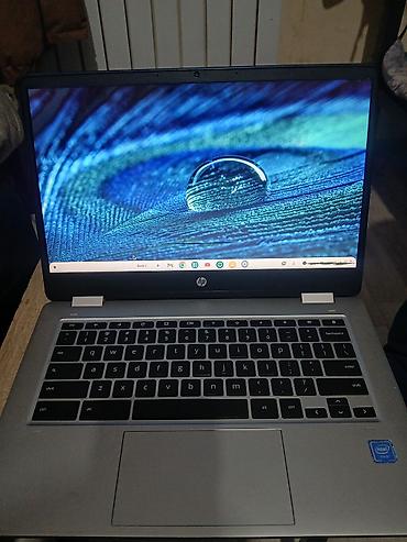 Ноутбуки: Ноутбук, HP, Intel Celeron, 14 ", Для работы, учебы — 2