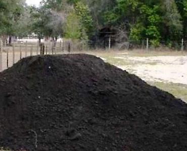 Другие товары для дома и сада: Услуги Садовника Стрижка живой изгороди Уборка дикой травы Покос at lalafo.kg — 13 Другие товары для дома и сада: Услуги Садовника Стрижка живой изгороди Уборка дикой травы Покос — 13