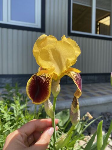 Иссык-Куль 2025: Коттедж, Apart house Karakol Каракол, Детская площадка, Парковка, стоянка, Охраняемая территория — 22