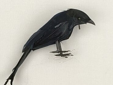 Figurine, condition - Perfect