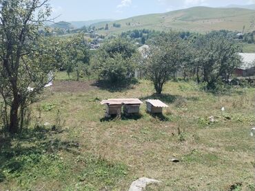 Həyət evləri və villaların satışı: 3 otaqlı, 100 kv. m, Təmirsiz -da lalafo.az — 6 Həyət evləri və villaların satışı: 3 otaqlı, 100 kv. m, Təmirsiz — 6