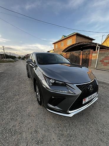 Lexus: Lexus NX: 2020 г., 2 л, Автомат, Бензин — 2