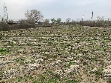 ismayıllı torpaq satışı: 10 sot, Tikinti, Mülkiyyətçi, Kupça (Çıxarış) — 3
