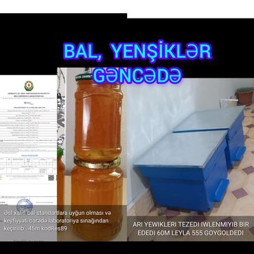 Bal: BAL esl xalis bal etrafli məlumat şekilde var 45 azn kodRes89