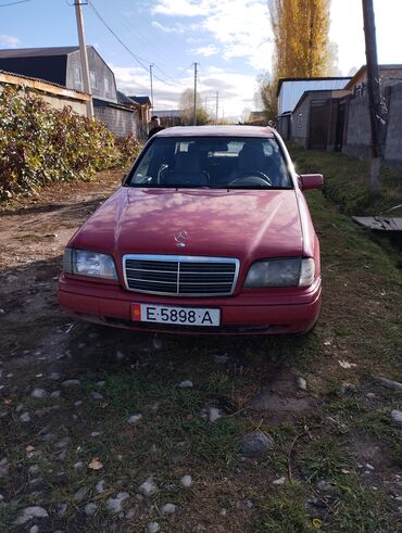 Mercedes-Benz: Mercedes-Benz C 280: 1994 г., 2.8 л, Механика, Бензин, Седан