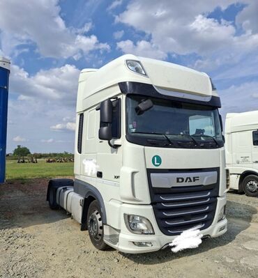 зеркало даф 105: Сүйрөгүч, DAF, 2019 г., Прицепсиз
