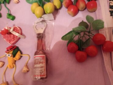 Другой декор и предметы интерьера: Продаю остатки товара,ракушка бусы,магнитики на холодильник,брошь — 12