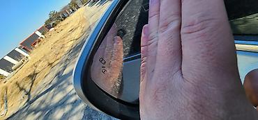 Renault: Renault QM6: 2019 г., 2 л, Вариатор, Газ, Кроссовер — 9