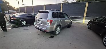 fort pikap: Subaru Forester: 2009 г., Автомат, Бензин, Кроссовер — 4