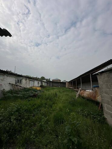 Здания: САТЫЛАТ — ӨНӨР ЖАЙ УЧАСТОГУ / БАЗА — 15