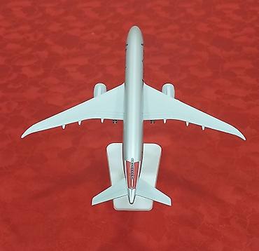 elmin: American Airlines təyyarə maketi – vitrin/masaüstü dekoru — 7