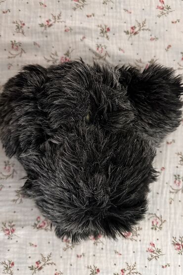 Игрушки: Игрушки СССР, Антиква, Раритет. Листайте ⏩️⏩️⏩️ Коллекционные — 22