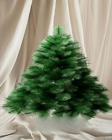 postava ispod haljine: Novogodisnja jelka s2ra 210cm. novogodisnja jelka s2ra 210cm stiže nam — 1