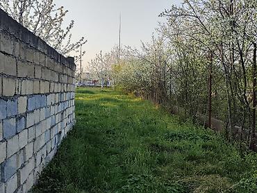 xirdalanda kiraye evleri: 7 sot, Tikinti, Mülkiyyətçi, Kupça (Çıxarış) — 2